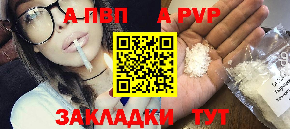 Альфа ПВП крисы CK Великий Новгород