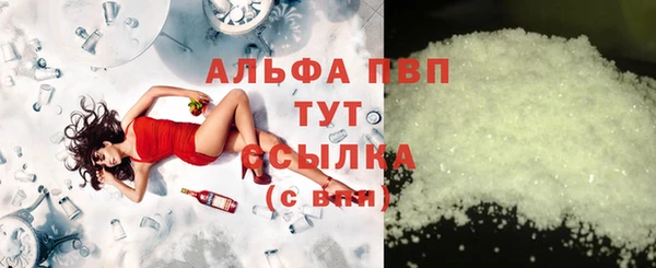 шишки Магас