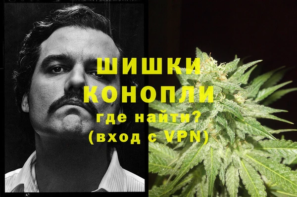 шишки Магас