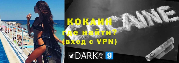 шишки Магас