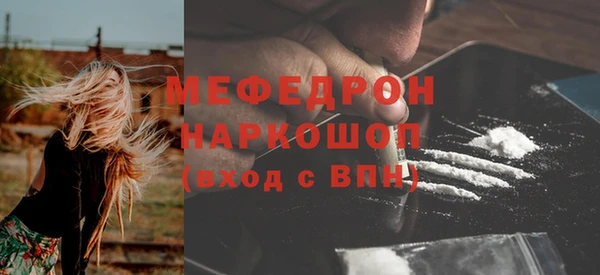 шишки Магас