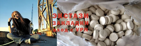 шишки Магас