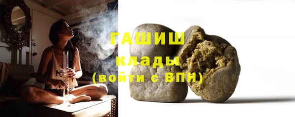 шишки Магас