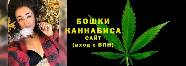 шишки Магас