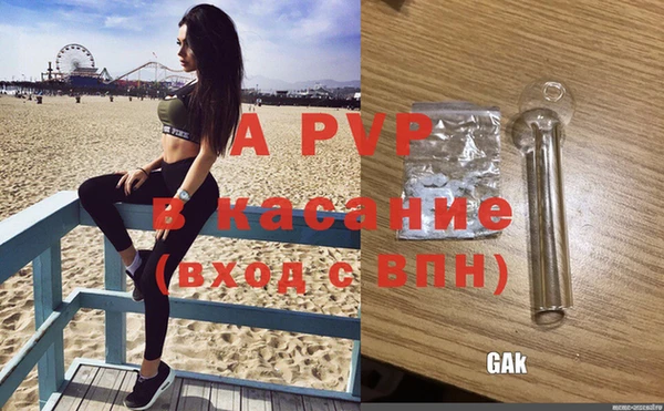 шишки Магас