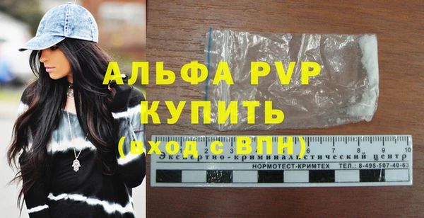 шишки Магас