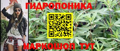 a pvp Балашиха