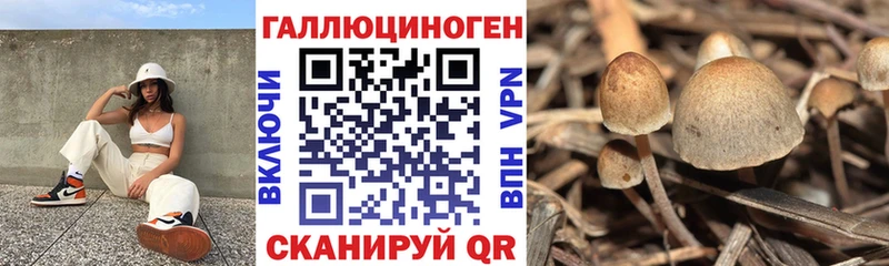 Галлюциногенные грибы Cubensis  Великий Новгород 