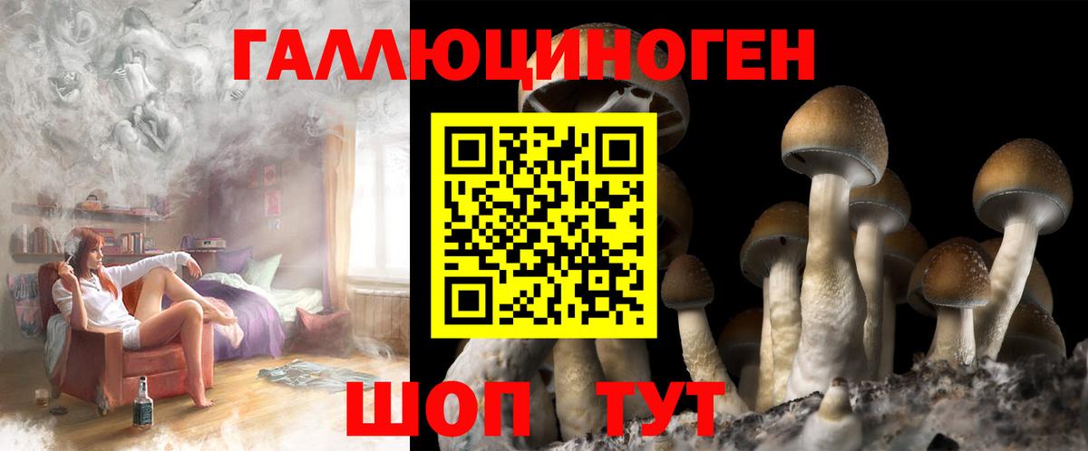 где купить наркоту  Великий Новгород  Галлюциногенные грибы Cubensis 